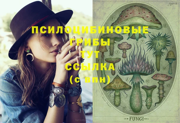 каннабис Алзамай