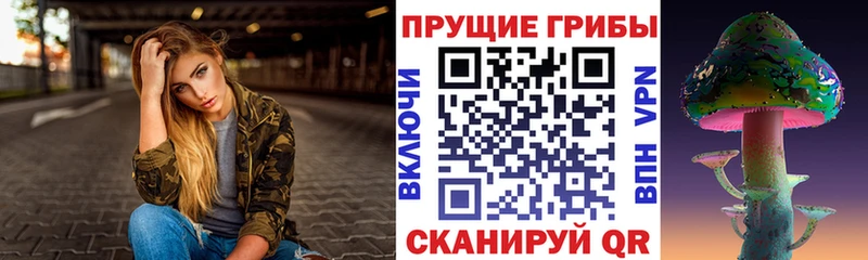 darknet официальный сайт  наркота  Северодвинск  Галлюциногенные грибы прущие грибы 